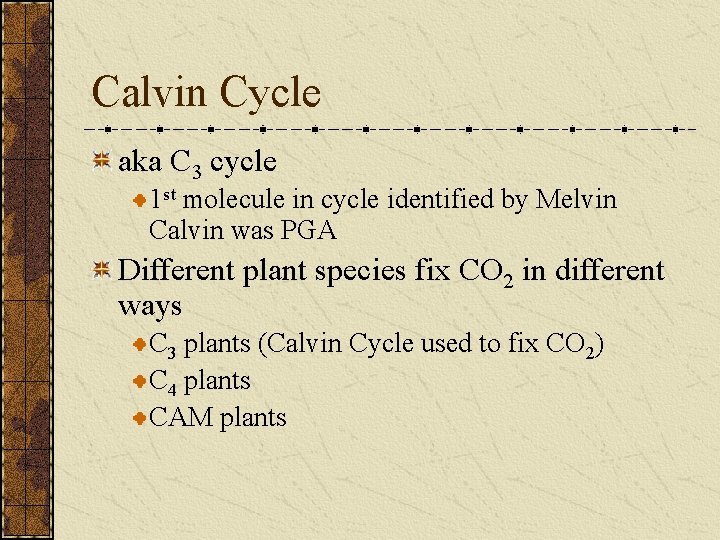 Calvin Cycle aka C 3 cycle 1 st molecule in cycle identified by Melvin