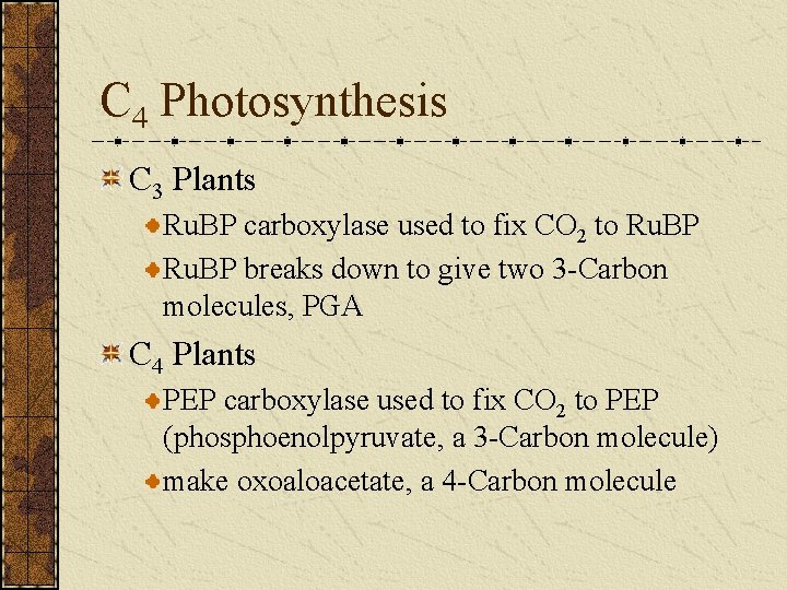 C 4 Photosynthesis C 3 Plants Ru. BP carboxylase used to fix CO 2
