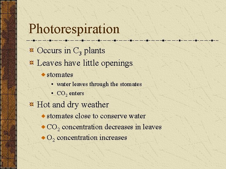 Photorespiration Occurs in C 3 plants Leaves have little openings stomates • water leaves