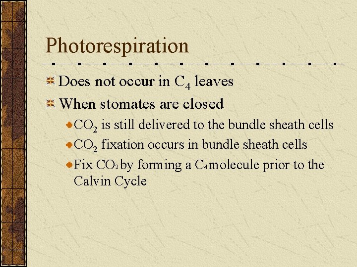 Photorespiration Does not occur in C 4 leaves When stomates are closed CO 2
