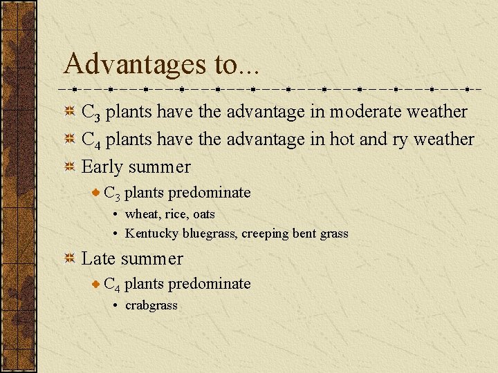 Advantages to. . . C 3 plants have the advantage in moderate weather C