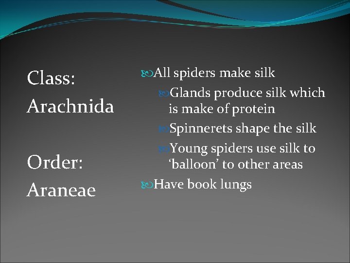 Class: Arachnida Order: Araneae All spiders make silk Glands produce silk which is make Class: Arachnida Order: Araneae All spiders make silk Glands produce silk which is make