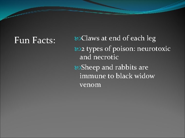 Fun Facts: Claws at end of each leg 2 types of poison: neurotoxic and Fun Facts: Claws at end of each leg 2 types of poison: neurotoxic and