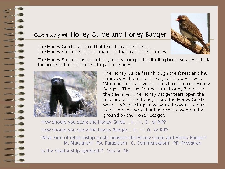 Case history #4: Honey Guide and Honey Badger The Honey Guide is a bird
