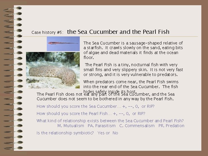 Case history #5: the Sea Cucumber and the Pearl Fish The Sea Cucumber is