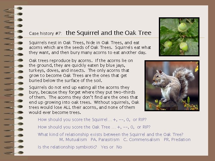 Case history #7: the Squirrel and the Oak Tree Squirrels nest in Oak Trees,