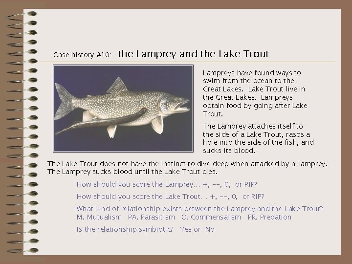 Case history #10: the Lamprey and the Lake Trout Lampreys have found ways to