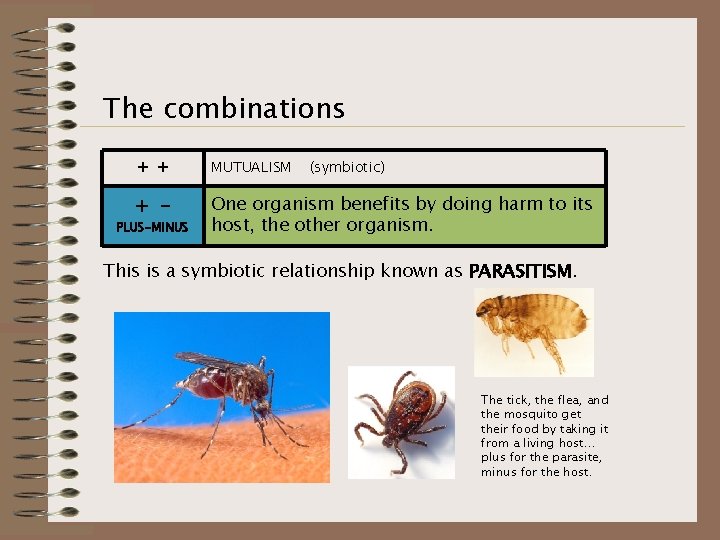 The combinations + + MUTUALISM + - One organism benefits by doing harm to