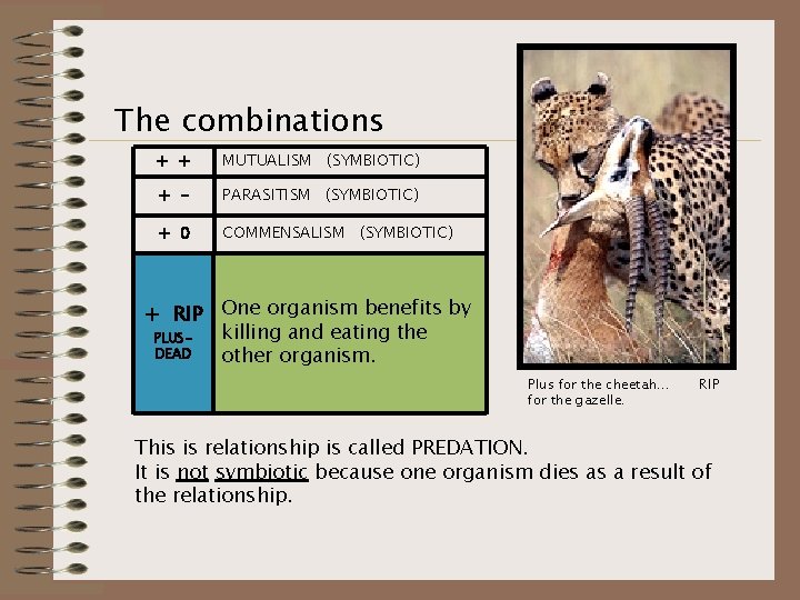 The combinations + + MUTUALISM (SYMBIOTIC) + - PARASITISM (SYMBIOTIC) + 0 COMMENSALISM (SYMBIOTIC)