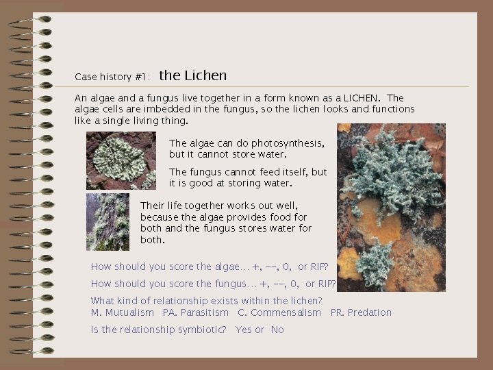 Case history #1: the Lichen An algae and a fungus live together in a