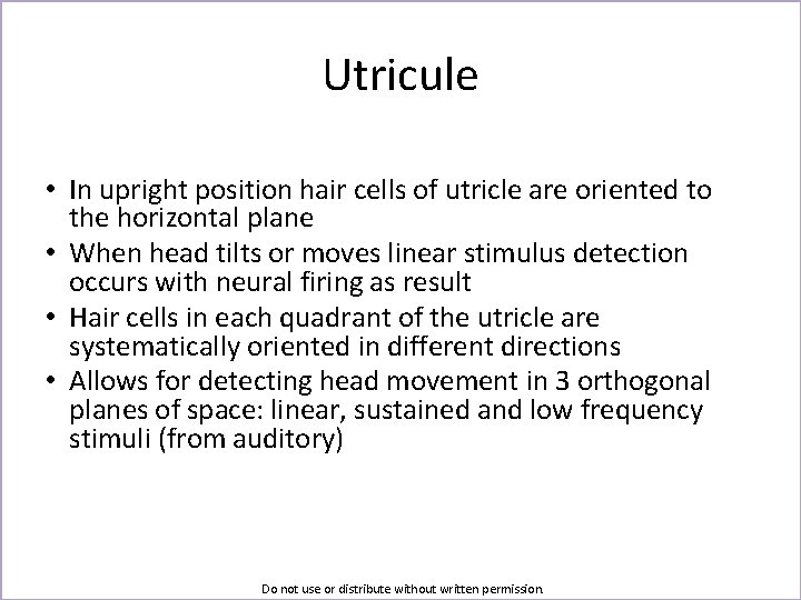 Utricule • In upright position hair cells of utricle are oriented to the horizontal
