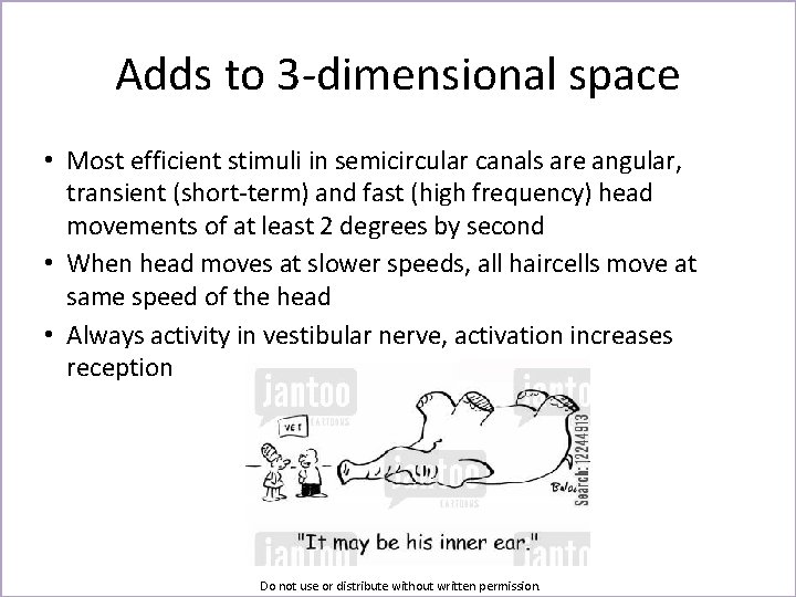 Adds to 3 -dimensional space • Most efficient stimuli in semicircular canals are angular,