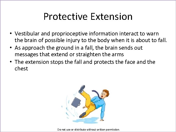 Protective Extension • Vestibular and proprioceptive information interact to warn the brain of possible