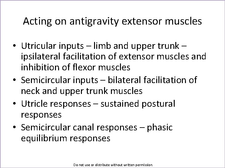 Acting on antigravity extensor muscles • Utricular inputs – limb and upper trunk –
