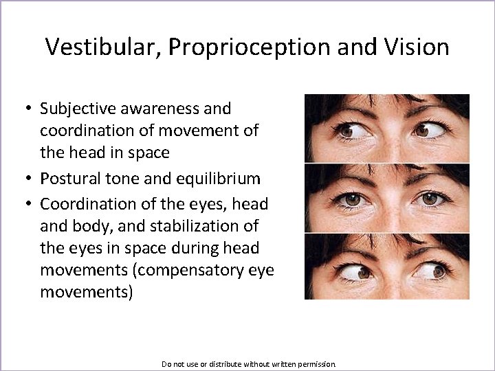 Vestibular, Proprioception and Vision • Subjective awareness and coordination of movement of the head