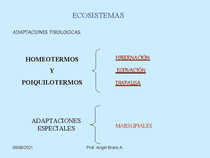 ECOSISTEMAS ADAPTACIONES FISIOLOGICAS: HOMEOTERMOS HIBERNACIÓN Y ESTIVACIÓN POIQUILOTERMOS ADAPTACIONES ESPECIALES 08/06/2021 DIAPAUSA MARSUPIALES Prof.