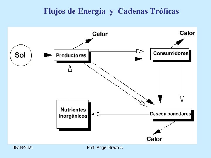 Flujos de Energía y Cadenas Tróficas 08/06/2021 Prof. Angel Bravo A. 