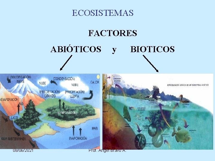 ECOSISTEMAS FACTORES ABIÓTICOS 08/06/2021 y Prof. Angel Bravo A. BIOTICOS 