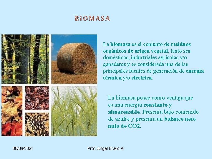 BIOMASA La biomasa es el conjunto de residuos orgánicos de origen vegetal, tanto sea