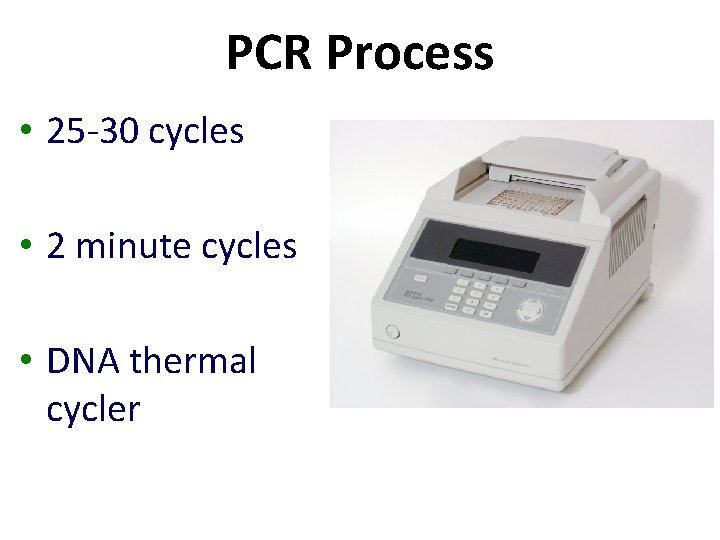 PCR Process • 25 -30 cycles • 2 minute cycles • DNA thermal cycler