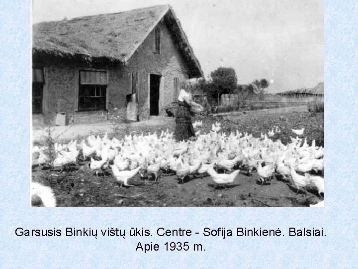 Garsusis Binkių vištų ūkis. Centre - Sofija Binkienė. Balsiai. Apie 1935 m. 