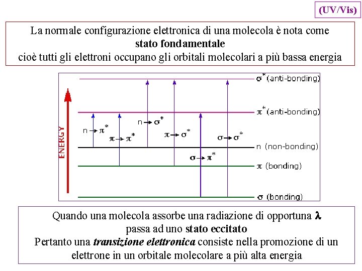 (UV/Vis) La normale configurazione elettronica di una molecola è nota come stato fondamentale cioè