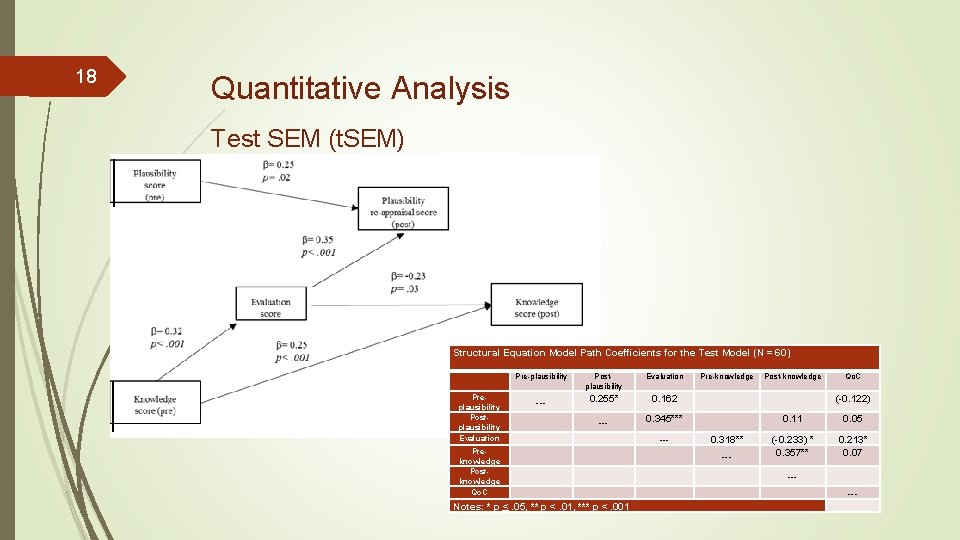 18 Quantitative Analysis Test SEM (t. SEM) Structural Equation Model Path Coefficients for the