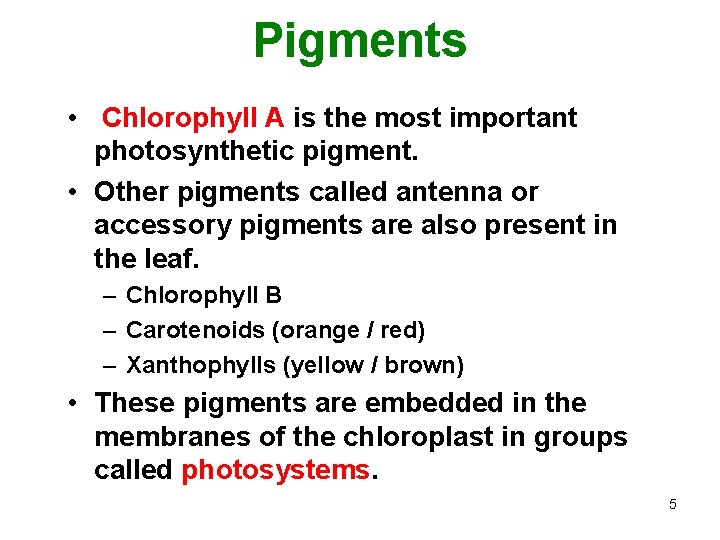 Pigments • Chlorophyll A is the most important photosynthetic pigment. • Other pigments called
