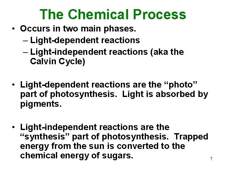 The Chemical Process • Occurs in two main phases. – Light-dependent reactions – Light-independent