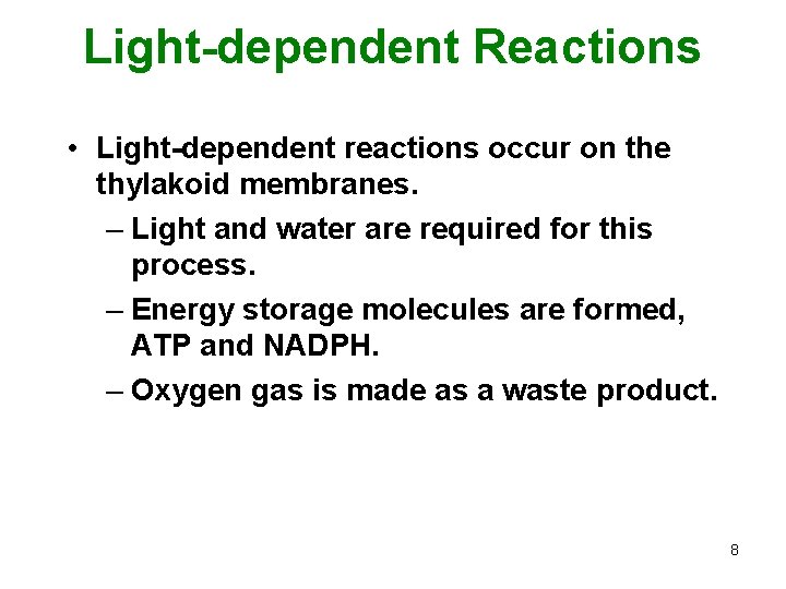 Light-dependent Reactions • Light-dependent reactions occur on the thylakoid membranes. – Light and water
