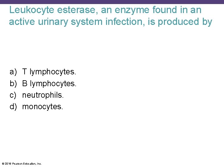 Leukocyte esterase, an enzyme found in an active urinary system infection, is produced by