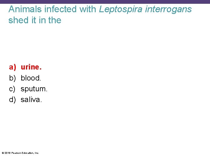 Animals infected with Leptospira interrogans shed it in the a) b) c) d) urine.
