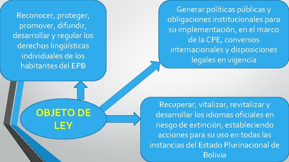 Reconocer, proteger, promover, difundir, desarrollar y regular los derechos lingüísticas individuales de los habitantes