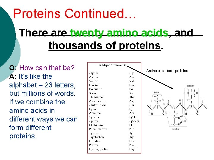 Proteins Continued… There are twenty amino acids, acids and thousands of proteins. Q: How