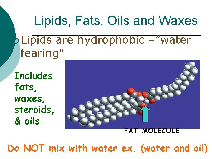 Lipids, Fats, Oils and Waxes ¡ Lipids are hydrophobic –”water fearing” Includes fats, waxes,