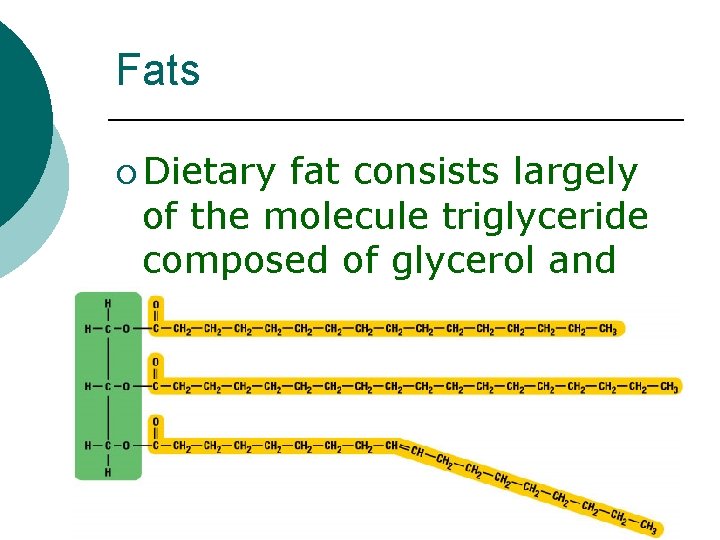 Fats ¡ Dietary fat consists largely of the molecule triglyceride composed of glycerol and