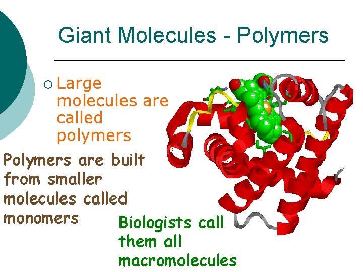 Giant Molecules - Polymers ¡ Large molecules are called polymers Polymers are built from