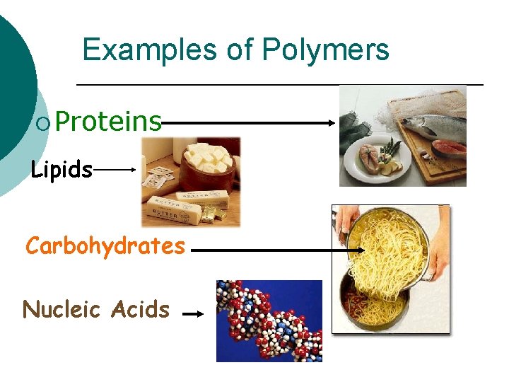 Examples of Polymers ¡ Proteins Lipids Carbohydrates Nucleic Acids 