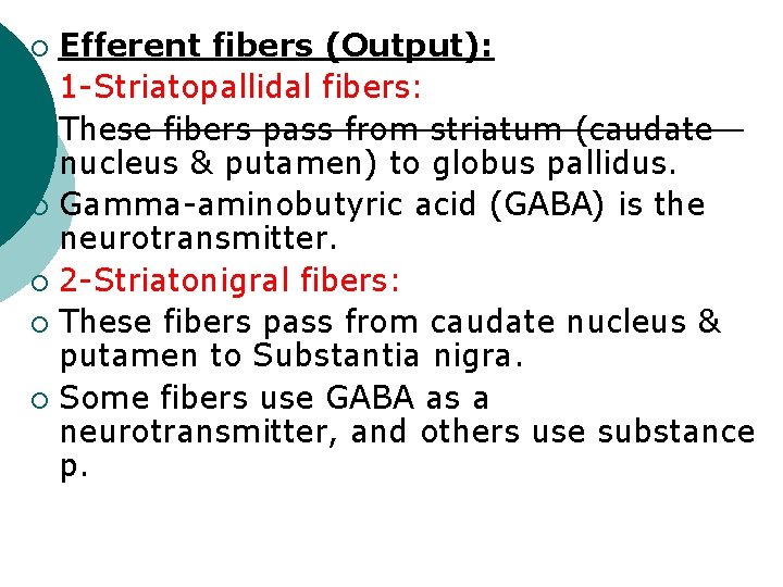 Efferent fibers (Output): ¡ 1 -Striatopallidal fibers: ¡ These fibers pass from striatum (caudate
