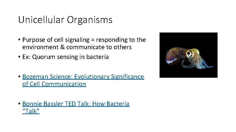 Unicellular Organisms • Purpose of cell signaling = responding to the environment & communicate Unicellular Organisms • Purpose of cell signaling = responding to the environment & communicate