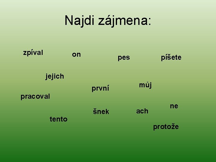 Najdi zájmena: zpíval on pes píšete jejich první můj pracoval tento šnek ach ne