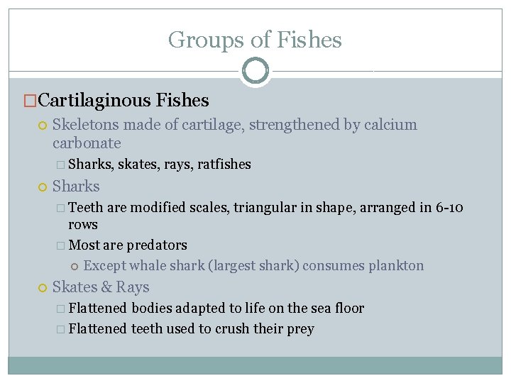 Groups of Fishes �Cartilaginous Fishes Skeletons made of cartilage, strengthened by calcium carbonate �