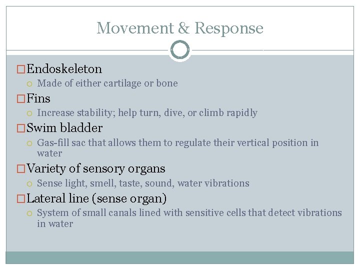 Movement & Response �Endoskeleton Made of either cartilage or bone �Fins Increase stability; help