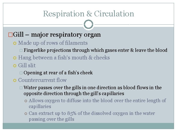 Respiration & Circulation �Gill – major respiratory organ Made up of rows of filaments