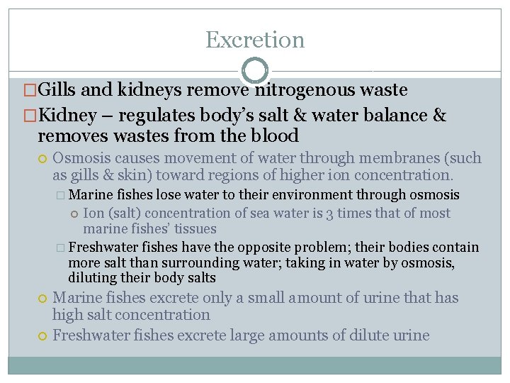 Excretion �Gills and kidneys remove nitrogenous waste �Kidney – regulates body’s salt & water