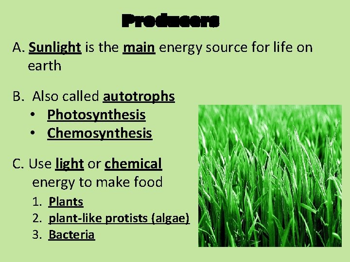 Producers A. Sunlight is the main energy source for life on earth B. Also