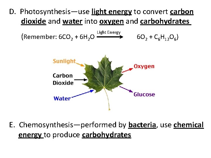 D. Photosynthesis—use light energy to convert carbon dioxide and water into oxygen and carbohydrates