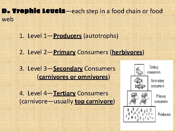D. Trophic Levels—each step in a food chain or food web 1. Level 1—Producers