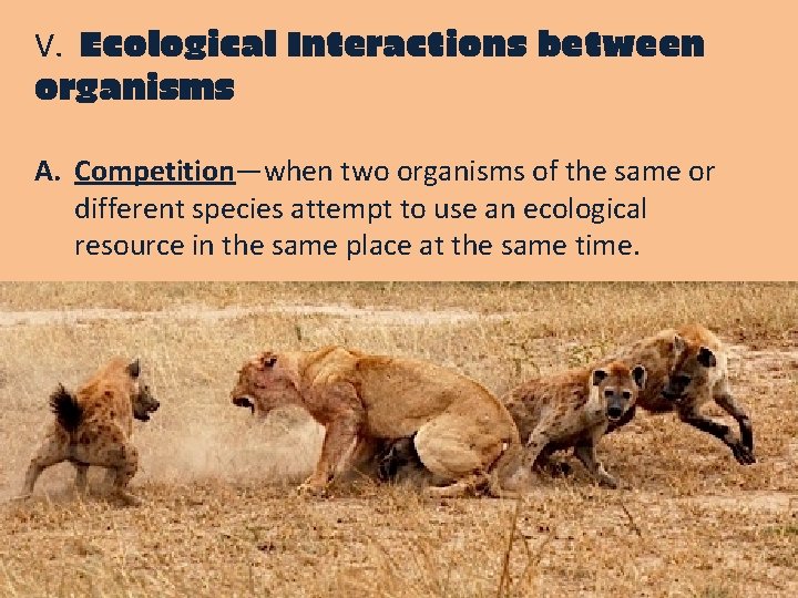 V. Ecological Interactions between organisms A. Competition—when two organisms of the same or different