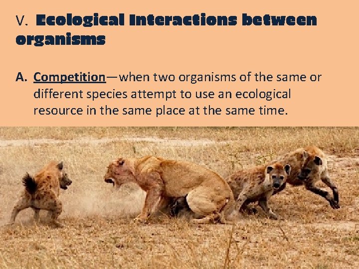 V. Ecological Interactions between organisms A. Competition—when two organisms of the same or different